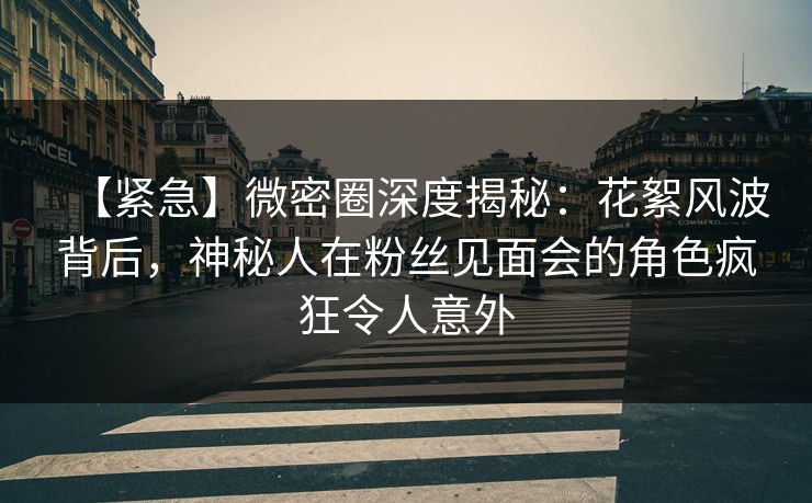 【紧急】微密圈深度揭秘：花絮风波背后，神秘人在粉丝见面会的角色疯狂令人意外