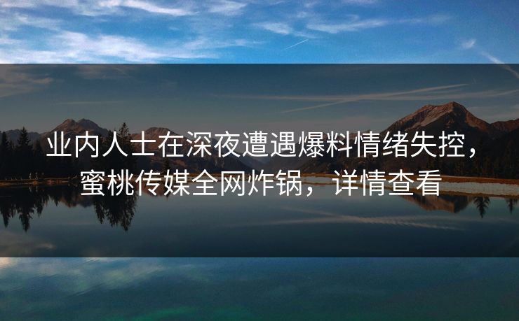 业内人士在深夜遭遇爆料情绪失控，蜜桃传媒全网炸锅，详情查看
