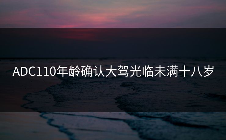 ADC110年龄确认大驾光临未满十八岁